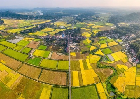 湖南省自然资源厅宣布一批墟落振兴用地包管规范