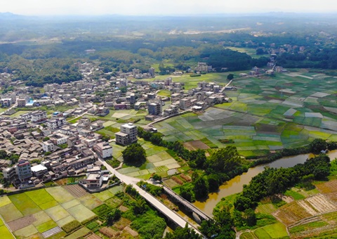 广西：农地入市&nbsp;&nbsp;收益共享<br>自然资源部分增强政策指导和手艺效劳