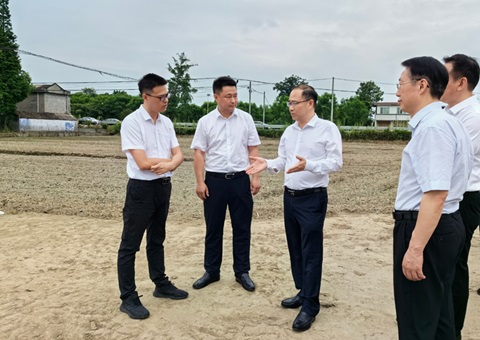 胡云赴眉山调研耕地；；な褂煤透弑曜寂┨锝ㄉ枋虑