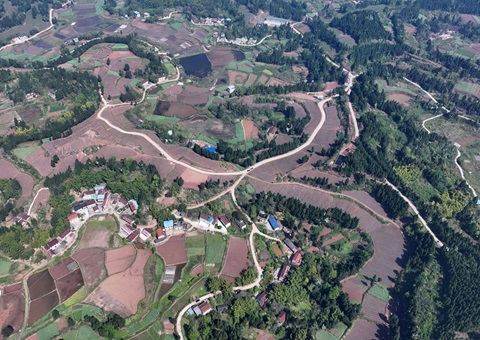 内江市东兴区局周全做好耕地；；； 全力做好用地包管