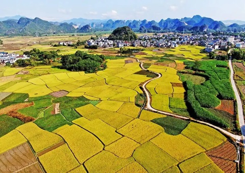 强化“指挥棒”作用&nbsp;&nbsp;柳州市发放500万元耕地；；；ぁ凹だ彀