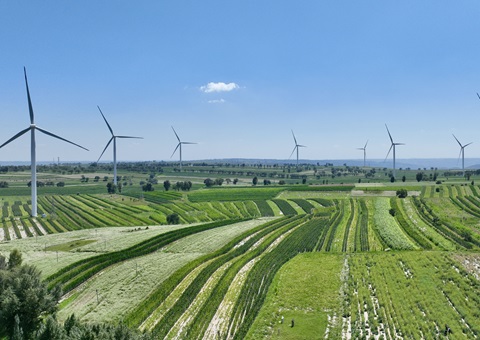 陕西省榆林市定边县：领土空间妄想“一张图”实现营业“一站式”高效治理