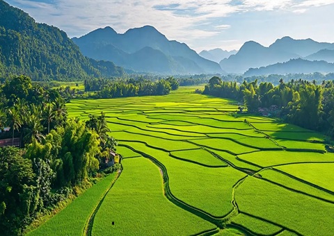 “自然资源+税务”协同共治！崇左筑牢耕地；；；；；び胨笆铡八赖亍