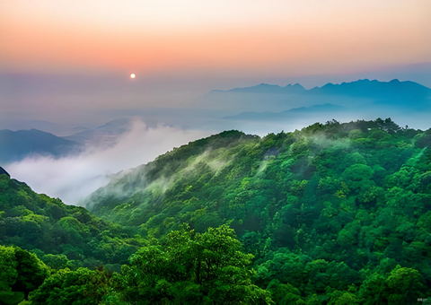 福建森林提质四放纵措打造黎民“幸福浚靠山”