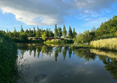 湖北武汉：“人工智能+”赋能湿地智慧制作新模式