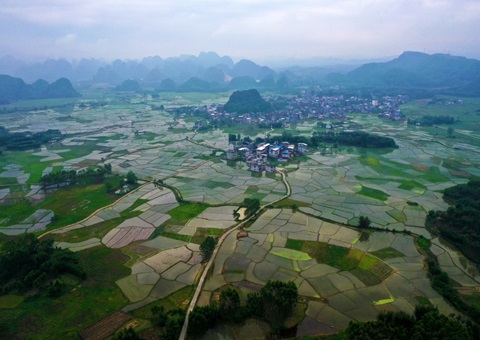 重磅释放！玉林市29宗焦点地块集中推介解锁投资新商机