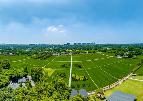 四川省成都会温江区局以综合羁系驾驶舱为核 &nbsp;&nbsp;周全激活数智治理新效能