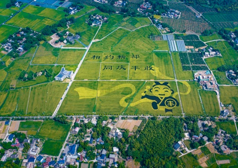 成都宣布耕地；；ね耄∥蠢10年这样筑牢“天府粮仓”基本