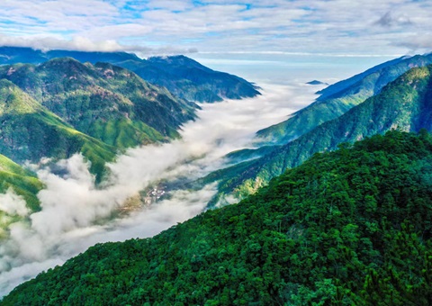 “组合包”，，，流通生态产品价值转化