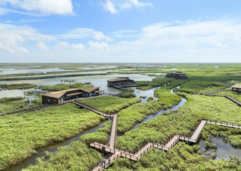 全球首个NbS都会中心在上海建设