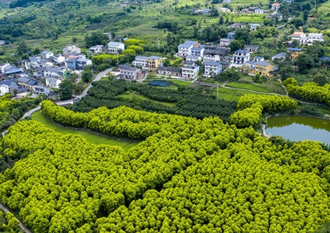 重庆墟落休闲旅游形成点线面立体式生长&nbsp;&nbsp;建设天下休闲农业重点县8个、中国漂亮休闲墟落90个