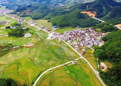 南宁立异“菜单式”效劳   数智赋能设施农用地高效备案