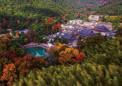 浙江：森林公园生态旅游怎样高质量生长？？？？