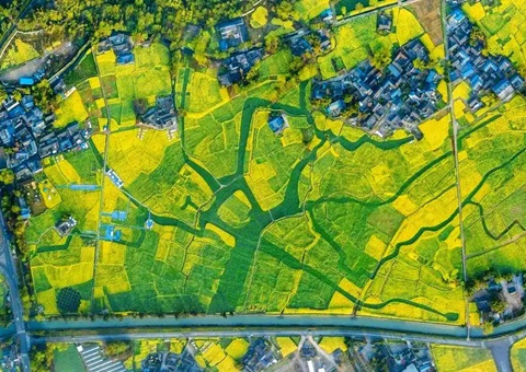 崇州市局出台墟落地区“通则式”妄想治理划定&nbsp;&nbsp;为墟落治理提供妄想支持